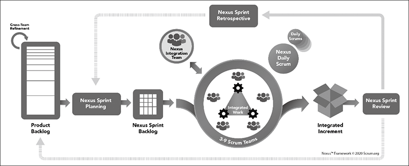 図7：「Nexus統合チーム」による統合