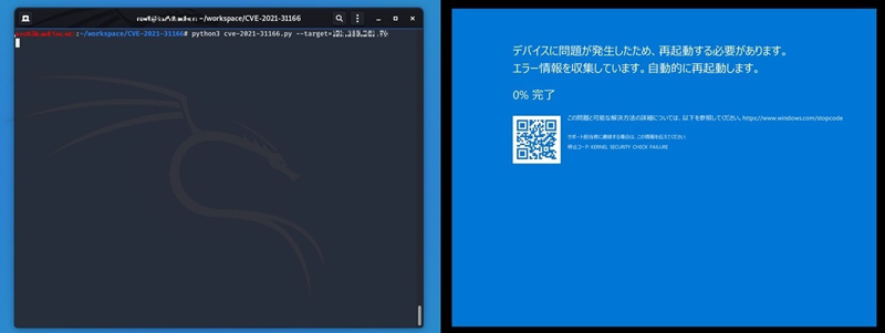 図2. PoC コードの実行と BSoD の発生