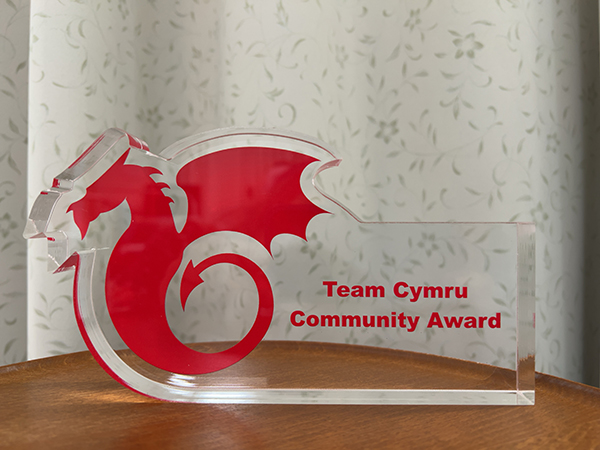 「Team Cymru Community Award」表彰盾
