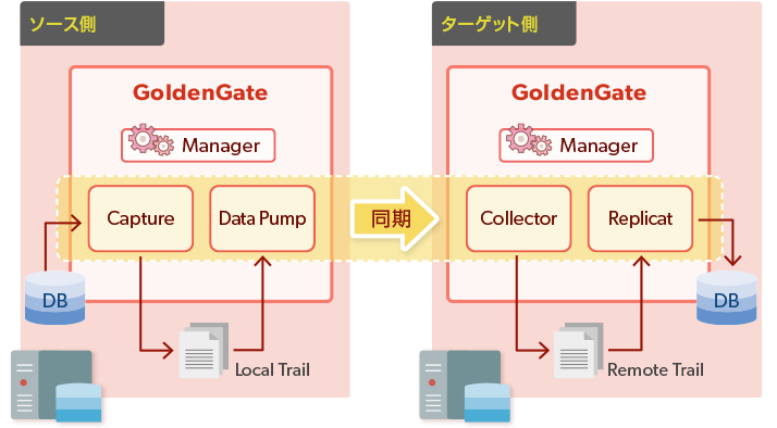 図1. GoldenGate の一般的な構成