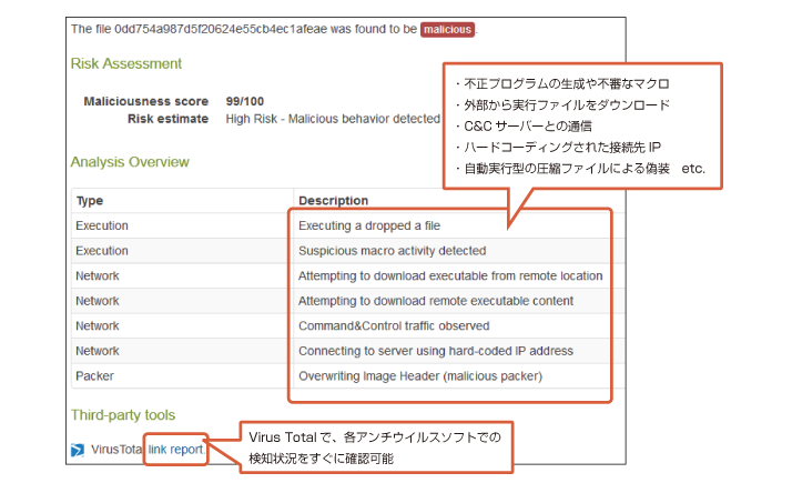 Detailed malware analysis information